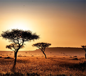 Cruceros por África. SoloCruceros.cl