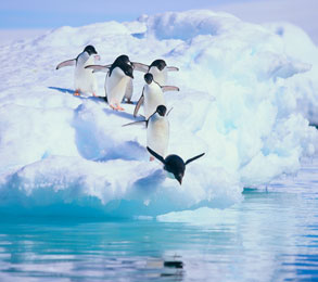 Cruceros por la Antártida. SoloCruceros.cl