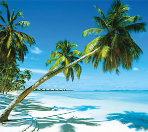 Cruceros por las Bahamas. SoloCruceros.cl