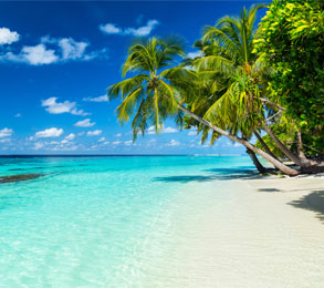 Cruceros por el Caribe. SoloCruceros.cl