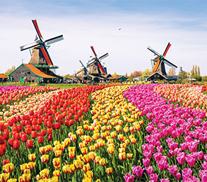 Ámsterdam, puerto destacado. SoloCruceros.cl