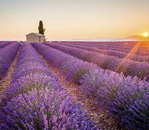 Marsella, puerto destacado. SoloCruceros.cl
