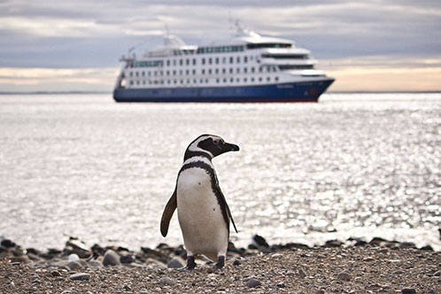 Medio Ambiente de Australis. SoloCruceros.cl