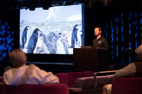 BBC Earth Experiences de Holland. SoloCruceros.cl BBC Earth Experiences de Holland. SoloCruceros.cl