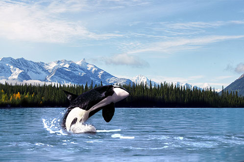 Destinos de Holland. SoloCruceros.cl Destinos de Holland. SoloCruceros.cl