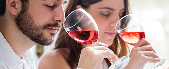 Mariner Society de Holland. SoloCruceros.cl Mariner Society de Holland. SoloCruceros.cl