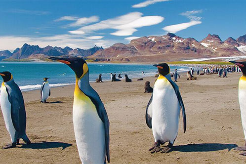 Itinerarios galardonados con Oceania. SoloCruceros.cl
