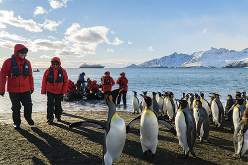Silversea Expeditions. SoloCruceros.cl Silversea Expeditions. SoloCruceros.cl