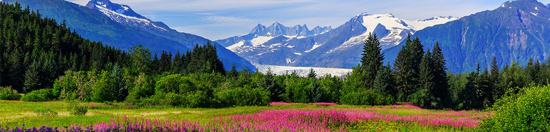 Alaska y sus paisajes únicos. SoloCruceros.cl