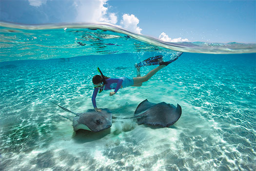 Ciudad de las Rayas en las Islas Caimán. SoloCruceros.cl Ciudad de las Rayas en las Islas Caimán. SoloCruceros.cl