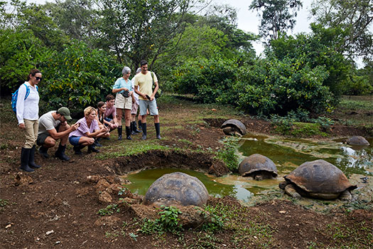 Rancho de tortugas en Bahía Tortuga. SoloCruceros.cl