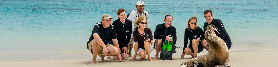 Leones marinos en la isla San Cristóbal. SoloCruceros.cl
