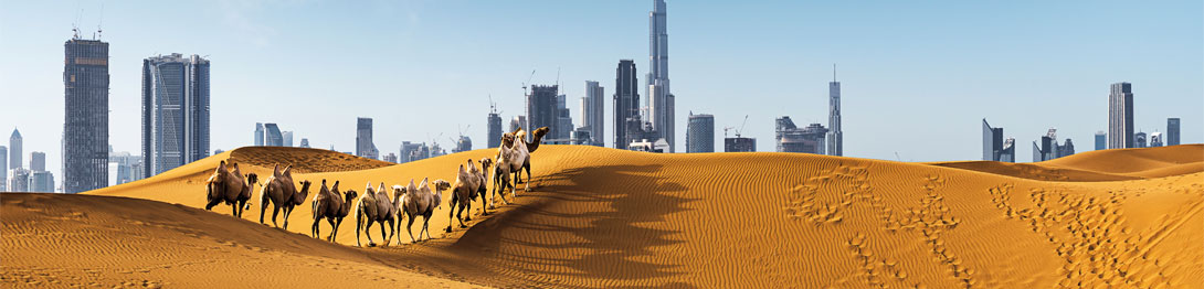 Dubái, ciudad de contrastes. SoloCruceros.cl