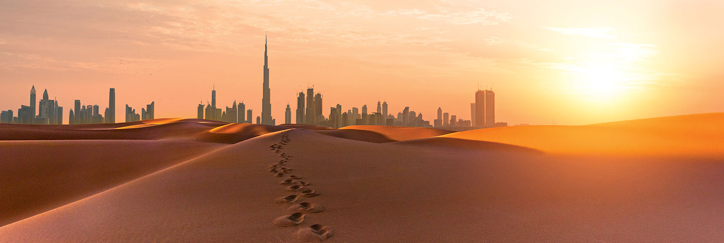 Cruceros noviembre 2025. SoloCruceros.cl