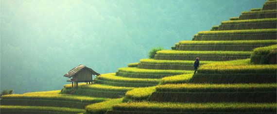 Cruceros novios por Oriente y Asia. SoloCruceros.cl