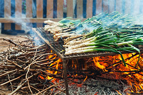 Calçots, plato estrella en Tarragona. SoloCruceros.cl Calçots, plato estrella en Tarragona. SoloCruceros.cl